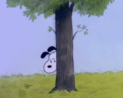 Hey there!